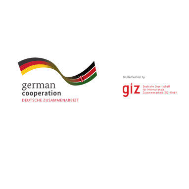 GIZ-logos (1)